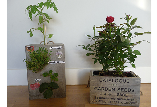 Taller mini huerto urbano ecológico (ms-huur254)