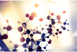 Conviértete en experto en Afiliación