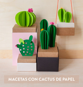 Workshop Macetas con cactus de cartón (ds-2111wom)
